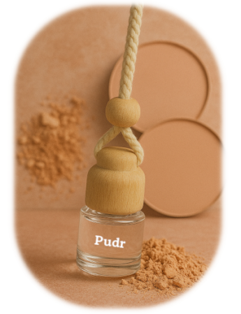 Pudr do auta