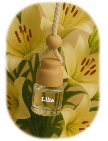 Lilie do auta
